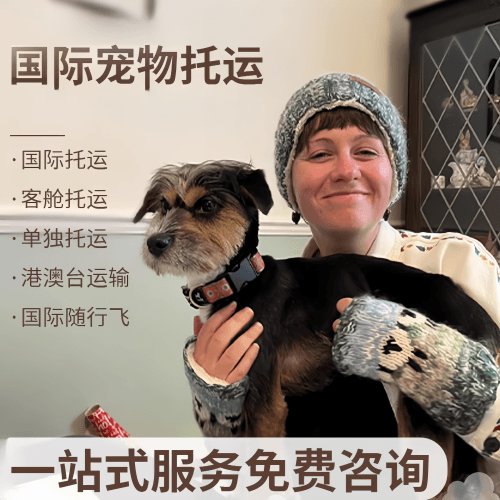 玉溪市国际宠物托运到阿根廷宠物入境规定和要