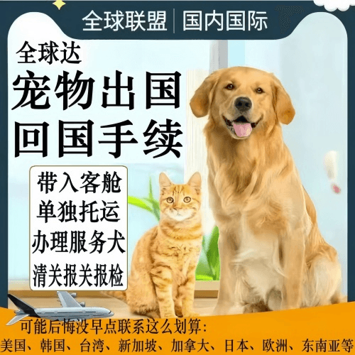 玉溪市宠物托运到柬埔寨宠物入境规定和要求
