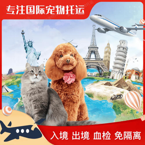 玉溪市宠物托运到美国宠物入境最新规定和要求