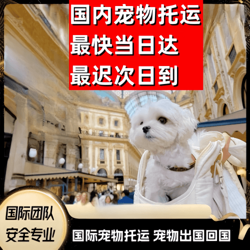 玉溪市到澳大利亚（澳洲）宠物入境规定和要求