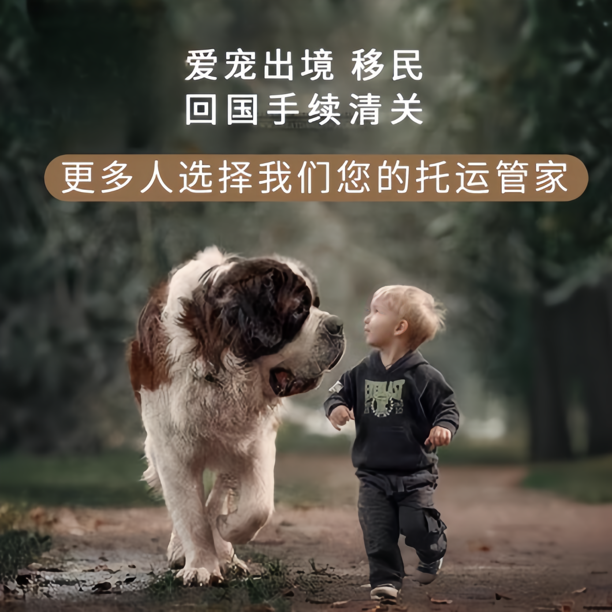 满财玉溪市宠物全球达宠物托运在遵守入境目的地政策的条件