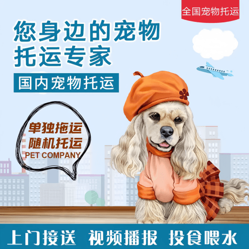 满财玉溪市宠物全球达宠物托运作为专业的宠物运输代理机构